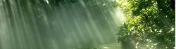 GUM04_PH09004.jpg