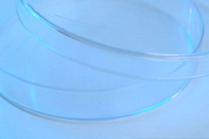 GUM06_PH09031.jpg